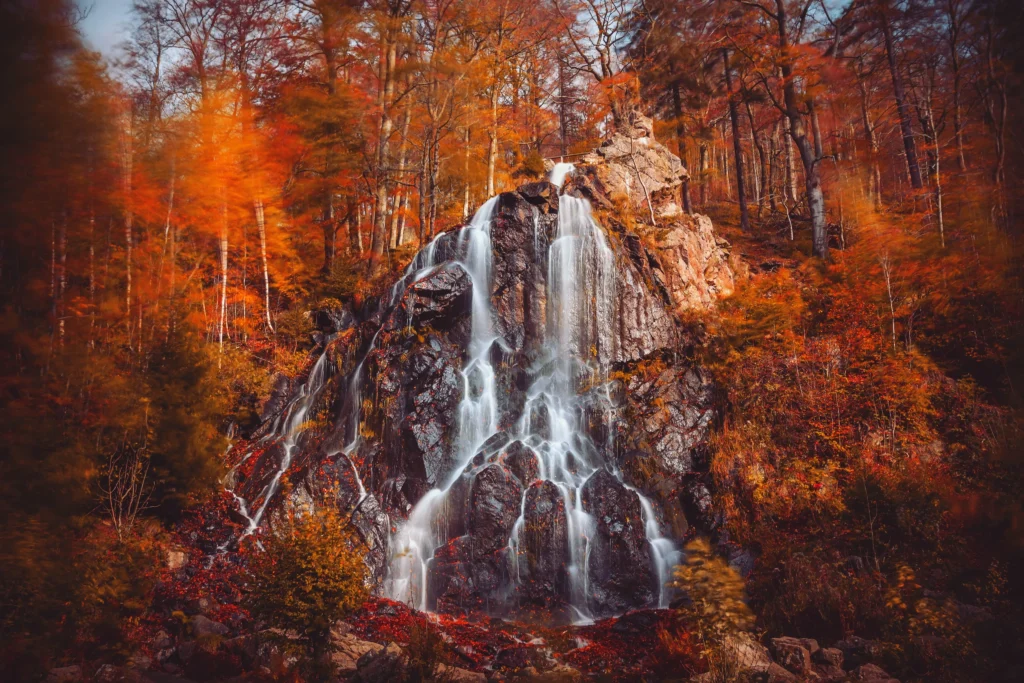 A waterfall surrounded by trees changing colour in autumn