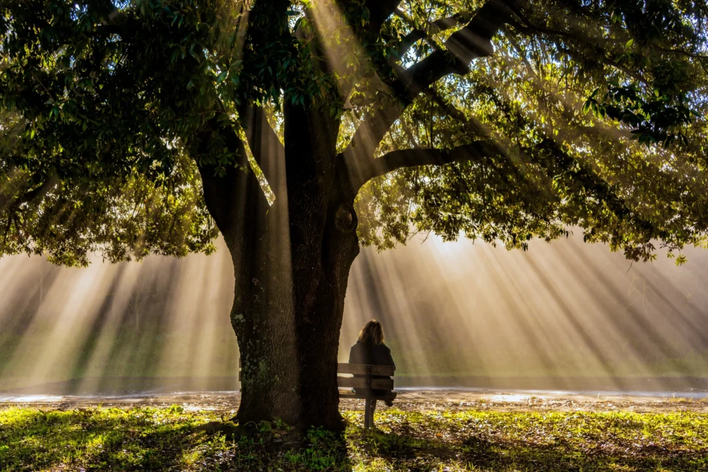 A lonely woman sitting ona  park bench under a big oak tree with the sun shining through the branches